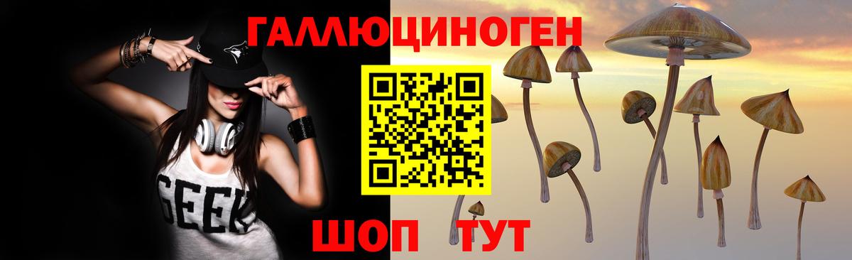 Галлюциногенные грибы GOLDEN TEACHER Саянск